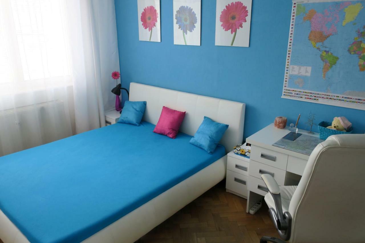 Cozy Blue Apartment 普雷绍夫 外观 照片